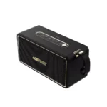 Acefast 120W IPX6 Bluetooth Speaker - Black